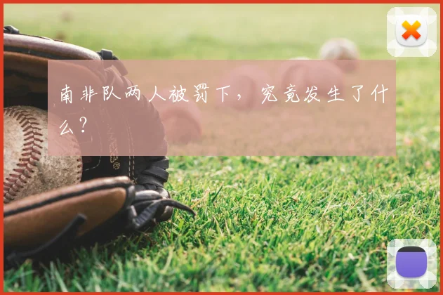 南非队两人被罚下，究竟发生了什么？