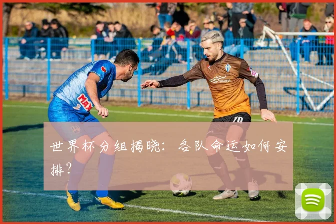世界杯分组揭晓：各队命运如何安排？